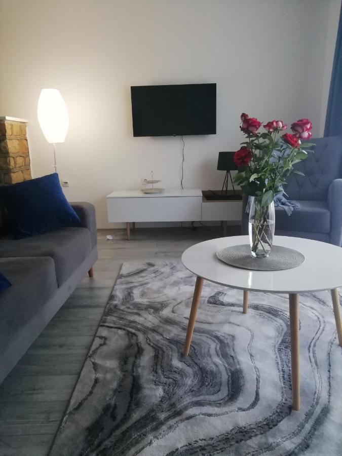 Fenix Apartment & Rooms Vinci エクステリア 写真