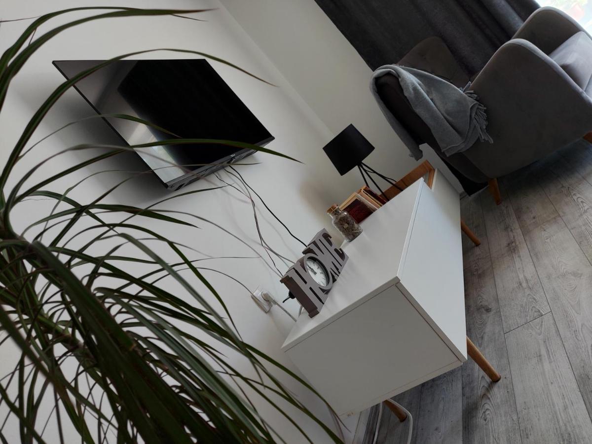 Fenix Apartment & Rooms Vinci エクステリア 写真