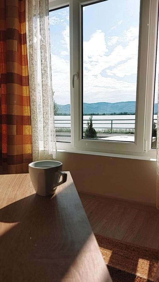 Fenix Apartment & Rooms Vinci エクステリア 写真