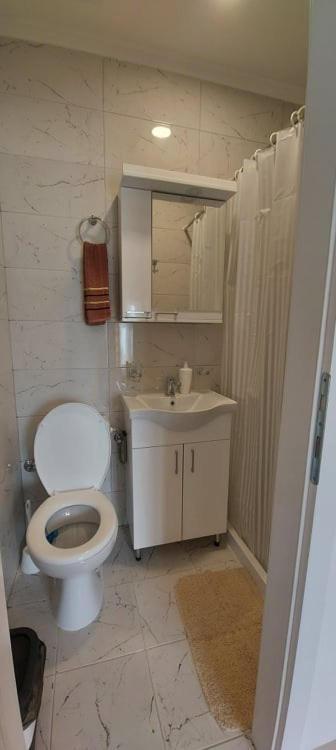 Fenix Apartment & Rooms Vinci エクステリア 写真